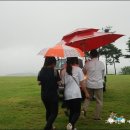 금와농장 이미지