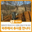 충의공 이유길 의마총 | 파주에서 추사(秋史)를 만나다 : 향토유적 제34호 추사 김정희 친필 조기복 묘표