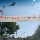 논실 이미지