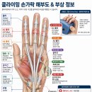 피커스 클라이밍 입문 1일차 강습 후기 | 지구력벽, 삼지점, 낙법