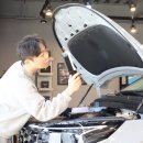 미남로 | 왜 카니발에 후퍼옵틱 프나세일까 연제구 썬팅 시공 후기