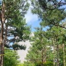 경성쇼핑상가 이미지