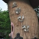 오봉산장 이미지