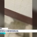 후배집 비번 캐내려고 스토킹하고 오줌도 싸고 간 대학병원 의사 이미지