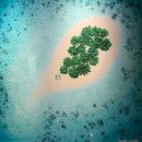 캣파라다이스 | [전시후기]엘리자베스 랭그리터 _ 매일이 휴가, 모두가 행복한 대한민국을 꿈꾸며 감상했던 전시