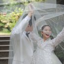 웨딩 촬영 한복 대여 | 금단제 신부 한복 후기(1)