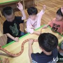 해빛유치원 이미지