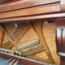 강동중고길 이미지