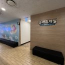 크록스뉴코아