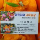 김영순농장 이미지