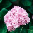 버스정류소_하례환승정류장 이미지