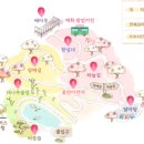 매화길 네이버블로그
