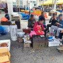 제일정효소꽈배기 이미지