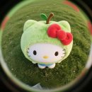 을-210 | ୨୧ 올림푸스 VH-210 디카 추천 ୨୧