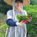 까사델와나스타 이미지