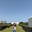 대판농장 | (5월 제주 여행 4일차) 갯무꽃밭 오름 정원, 김녕해수욕장, 빵귿, 고슬고슬 내돈내산 여행