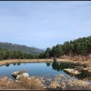 잣향기푸른마을 이미지