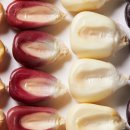 (주)디시에너지 이미지