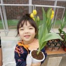 연흥유치원 이미지