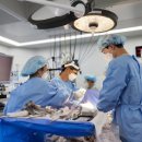 부천세종병원 이미지