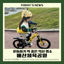 배산체육공원 족구장 | [전북] 운동하기 딱 좋은 배산체육공원, 가족공원으로 인기 많은 익산 명소