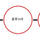 소피아플룻수리