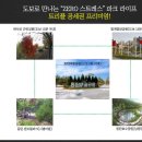 골든스타 이미지