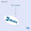 영광군보건소 | 3주~6주 : 임신 극초기 증상, 남편 임밍아웃, 보건소 임산부 등록, 국민행복카드 신청, 산후조리원 예약