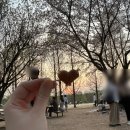 GS25 성수포레점 이미지