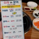 소라인(in)문어 이미지