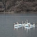 광교호수로-1 이미지