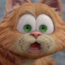 pet209로1978 이미지