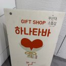 [부산대 놀거리] 이색 데이트 코스 추천 📍 볼꾸·테라리움 체험 가능한 소품샵 '하나타바' 솔직후기 (주차)