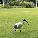 아름다운요트민박 | 시드니 (2)