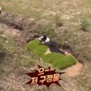 충성농장 이미지