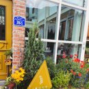 4월의밀밭 이미지