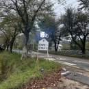 스테이 경화 이미지