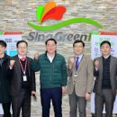 싱그린 이미지
