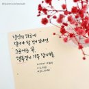 수정-82 이미지