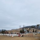 모토탑 | 블랙스톤 벨포레 리조트 놀거리 모토아레나 목장 체험 후기