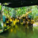 햇볕은쨍쨍어린이집 이미지