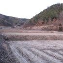 쌍백면사무소 이미지