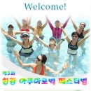 한국아쿠아운동협회 =한강페스티벌= 이미지