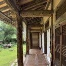 차꽃오미 이미지