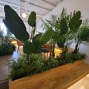 카페도틀 | [평택/맛집] 평택 브런치 카페도틀 후기