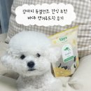 바야 | 강아지 동결건조 간식 추천 바야 캥거루트릿 후기