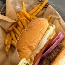 11500-8-18-05 이미지