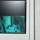 은진목장 네이버블로그
