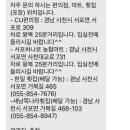 씨엘로 펜션 이미지