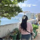 해운대구 마을버스(해운대3-2) | [부산 2박 3일] 날씨 요정과 함께하는 부산여행🍀 | 이재모피자 흰여울문화마을 해운대 엘시티레지던스
